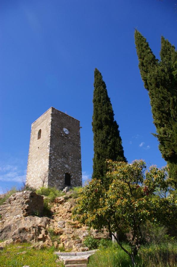 Chez Lydie Cessenon-sur-Orb المظهر الخارجي الصورة